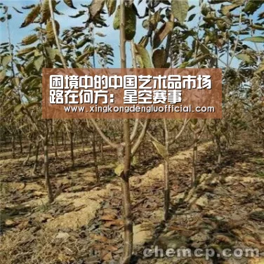 困境中的中国艺术品市场路在何方:星空赛事(图1) 星空赛事
