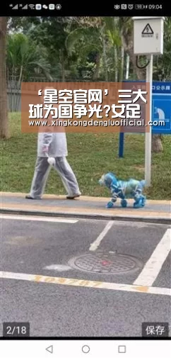 ‘星空官网’三大球为国争光?女足虽败犹荣 男足被爆再遭嘲讽(图2) 星空登录