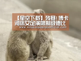 【星空下载】残暴!博卡河床女足演限制级德比 肘击飞踹(视频)(图1) 星空登录