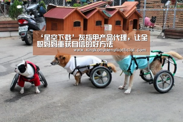 ‘星空下载’灰指甲产品代理,让全职妈妈重获自信的好方法(图3) 星空官网