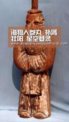 海狗人参丸 补肾壮阳_星空登录(图3) 星空官网